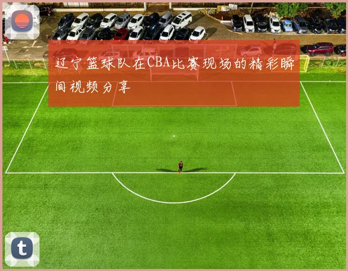 辽宁篮球队在CBA比赛现场的精彩瞬间视频分享
